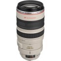 Canon EF 100-400 мм f/4.5-5.6 L IS USM