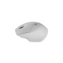 Wireless Mouse - Natec Siskin 2, Black