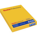 Kodak Ektachrome E100 8x10 10 Sheets