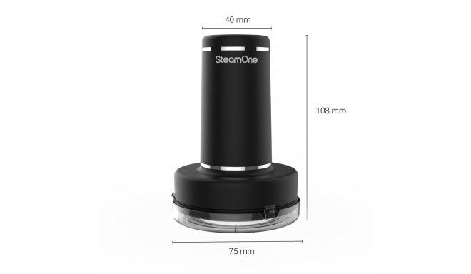 SteamOne BUNDLE DUO SN300B+RP10 box