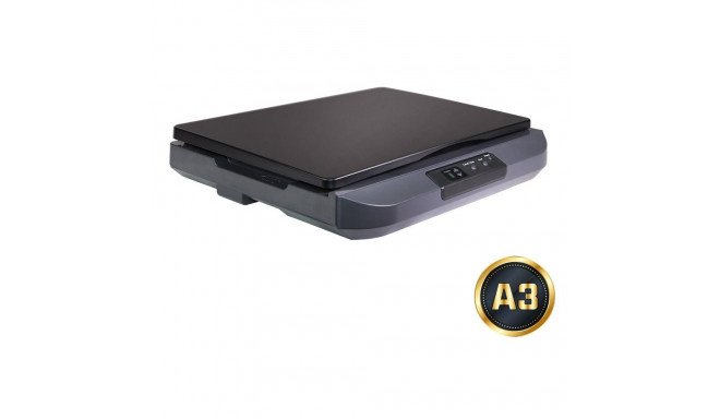 Avision FB5100 Flatbed scanner 600 x 1200 DPI A3 Black, Grey