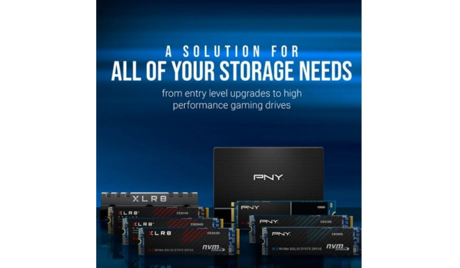 SSD 1TB M.2 CS1030 M280CS1030-1TB-RB