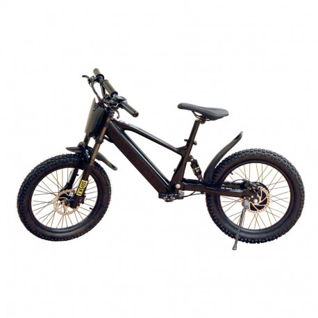 Tasakaaluratas 20 500W