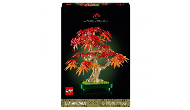 LEGO Botanicals 10348 Constructor