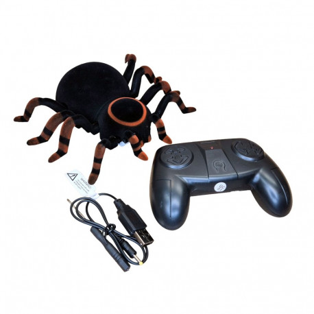 Seina peal roniv Wroow Spiooniämblik