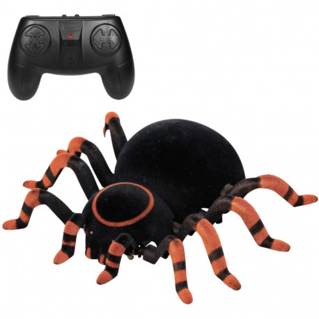 Seina peal roniv Wroow Spiooniämblik