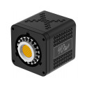 Newell Tara RGB LED Light