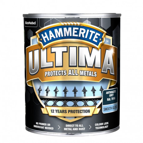 PAINT ULTIMA sile antratsiit 0.7L