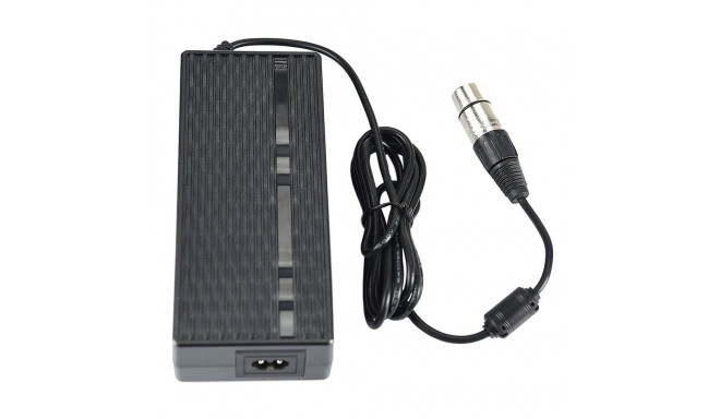 Godox Fl100 power supply