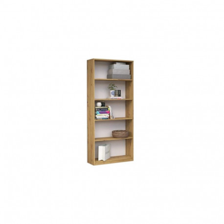 Topeshop R60 ARTISAN office bookcase