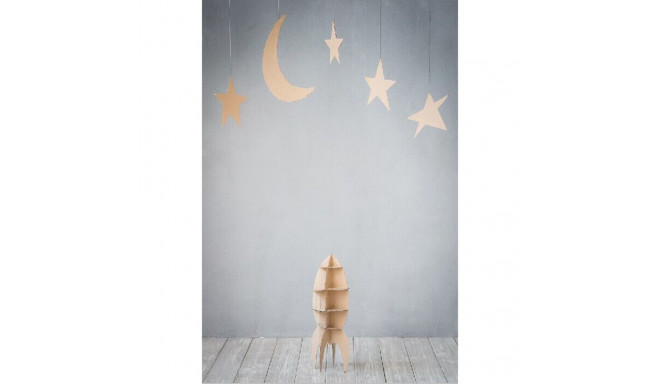 StudioKing Background Cloth RSG1 2x3m with Print