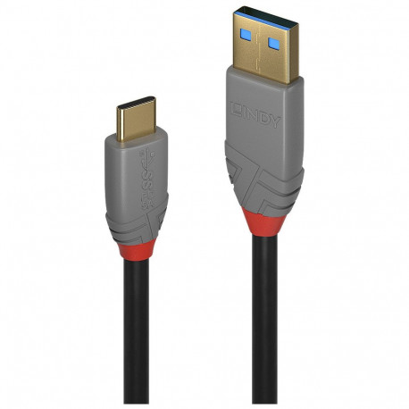 "LINDY USB 3.1 Kabel Typ A/C 5A PD Anthra Line M/M 0.5m"