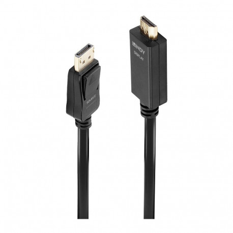 "LINDY DisplayPort an HDMI Kabel 4K30 (DP: passiv) 1m"