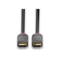 "LINDY DisplayPort Kabel Anthra Line 1m"
