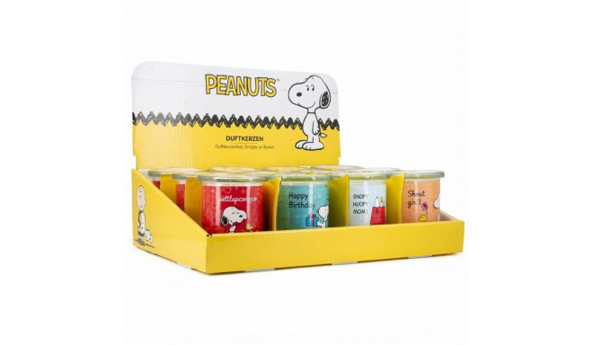 "CANDLE Thekendisplay Peanuts 25 x 100g"