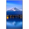 "Sharp MultiSync P656 Digital Signage Display 165 cm 65 Zoll"