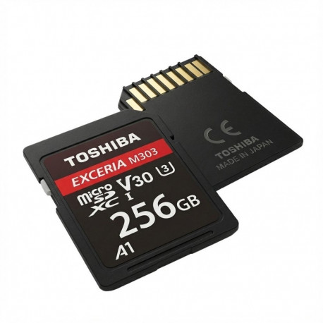 Toshiba SD Exceria R100 N203 256GB mälukaart