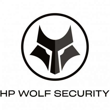 "G HP 4y Wolf Pro Security 100-499 E-LTU"