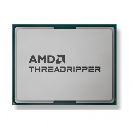 "AMD Ryzen Threadripper 9960X 4.2Ghz sTR5 128 MB 350W Tray"