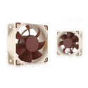 "NOCTUA NF-A6x25 PWM 60x60x25"