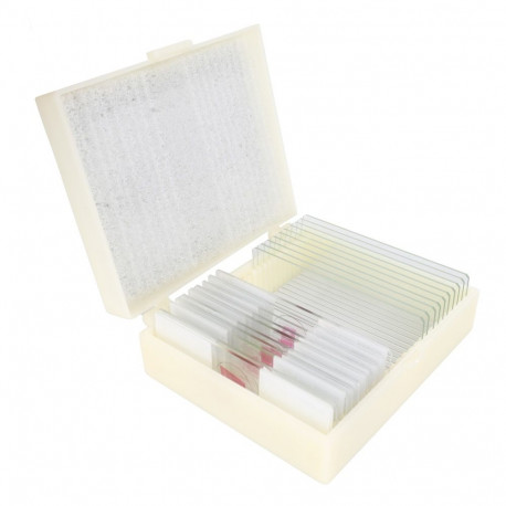 Konus Preparation Set Pathological Human Tissue 1 (10 Pcs)