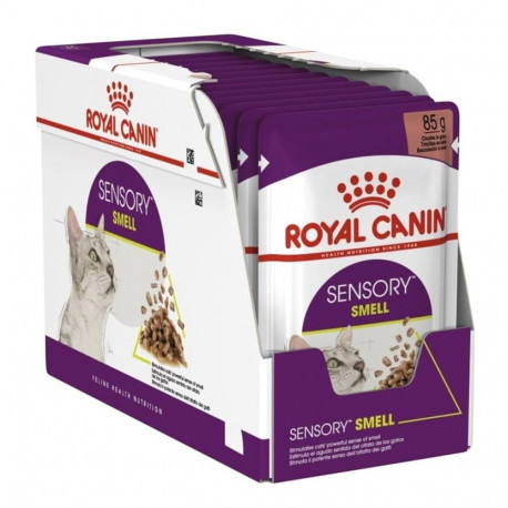 ROYAL CANIN Sensory Smell märg kassitoit 12x85g