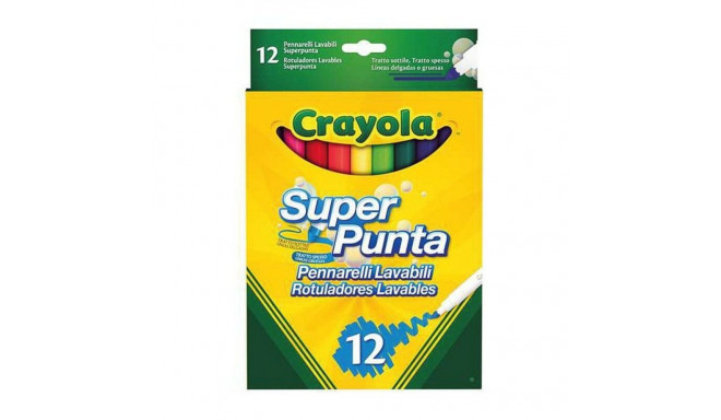 Viltpliiatsite komplekt Crayola 58-7509G
