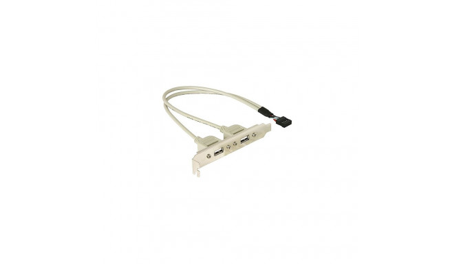 "Slotblech 2 x USB 2.0 Typ A Buchse extern"
