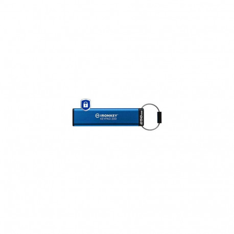 MEMORY DRIVE FLASH USB3.2/256GB IKKP200/256GB KINGSTON