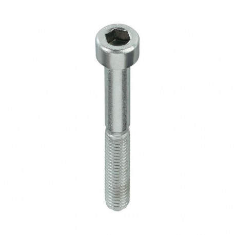 BOLT DIN912 M10X80 ZN (50)