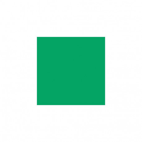 Falcon Eyes Background Paper 46 Chroma Green 2.18 x11 m