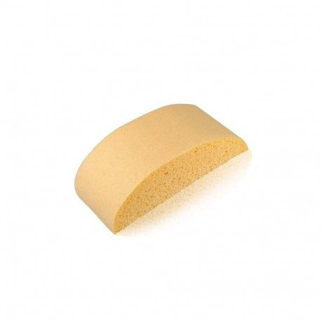 sponge big