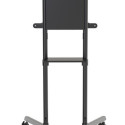 NS-M1250BLACK FLIP 37-70CALI 200x200-600x400 70kg PIVOT