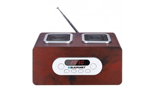 Portable radio PP5BR SD/USB