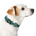 Dog collar Hunter Vario Basic Threads Turquoise 20