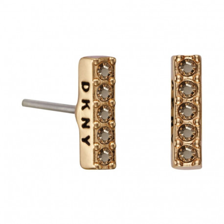Ladies' Earrings DKNY 5520081 1 cm