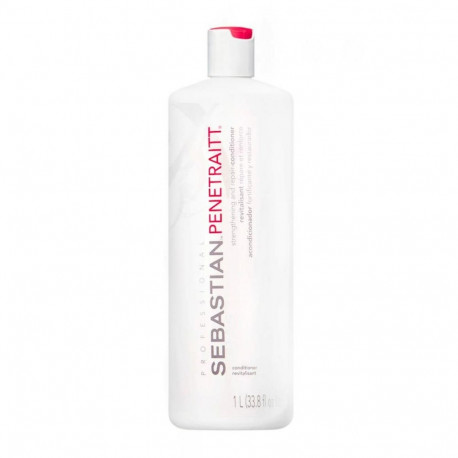 Värskendav palsam Sebastian Penetraitt 1 L