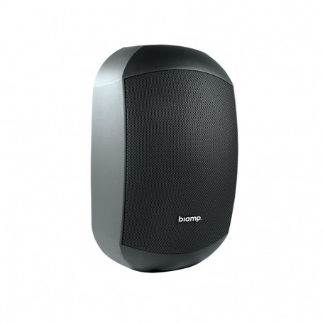 BIAMP MASK 6,5" Kõlar, Must