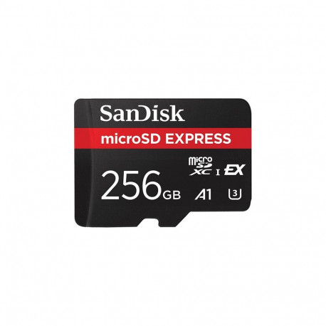 Mälukaart SanDisk mSDXC 256GB Express