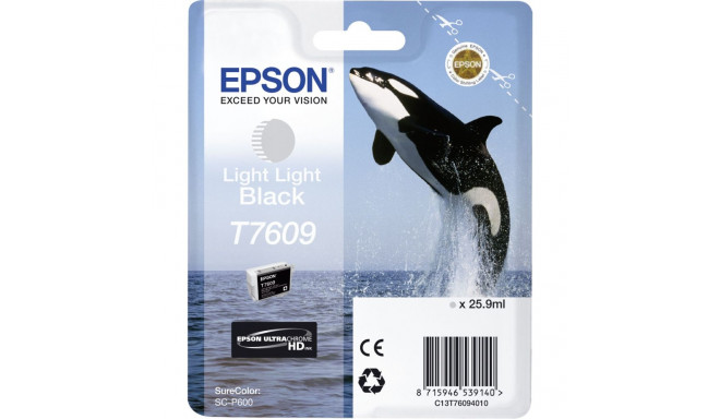 "Epson C13T76094010 light black"