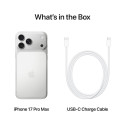 iPhone 17 Pro Max 256GB Silver