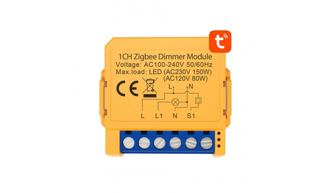 Smart socket switch ZigBee Avatto ZDMS16-2 TUYA