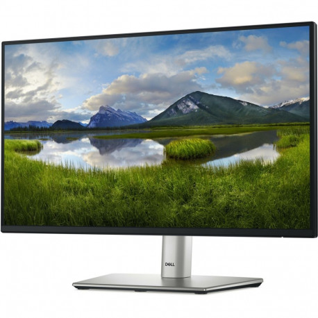 P2225H (54.6 cm (21.5 Zoll), schwarz/silber, FullHD, IPS, USB-C, 100Hz Panel)