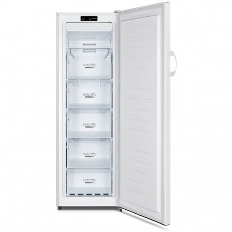 gorenje FN4172CW, freezer (white)