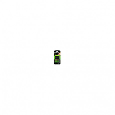 Duracell battery charger CEF14 AA/AAA (black)
