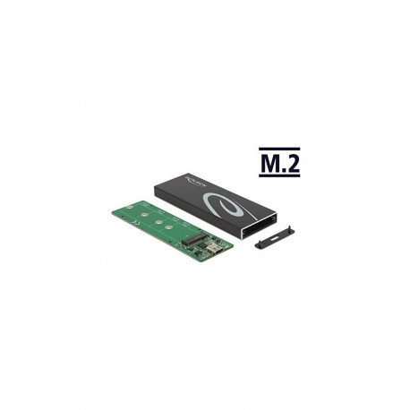 DeLOCK external enclosure for M.2 SATA SSD, drive enclosure 42003