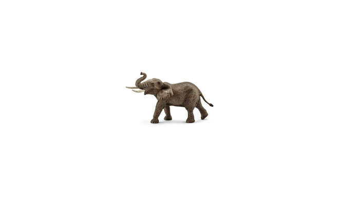 Wild Life Aafrika elevant isane