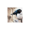 Bosch 50mm Flat Nozzle