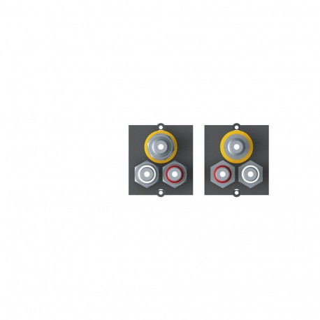 Custom moodul BVM-1 1x video ja cinch stereo lauapistikutele, must