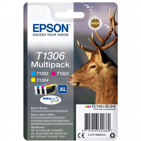 Epson Ink Multipack T1306 (C13T13064012)